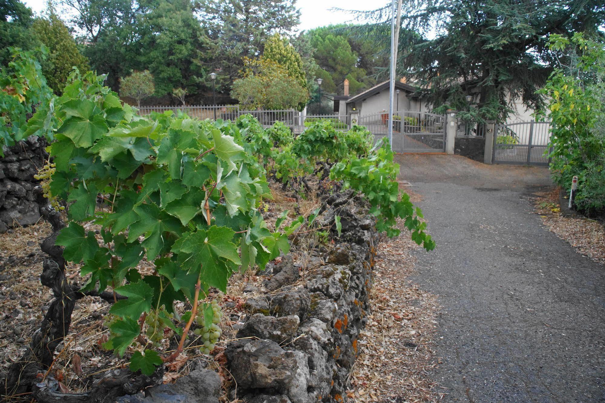 Вилла Etna Paradise Locazioni Brevi Ragalna Экстерьер фото